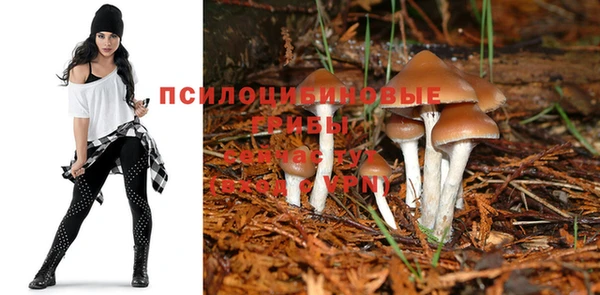 не бодяженный Щёлкино