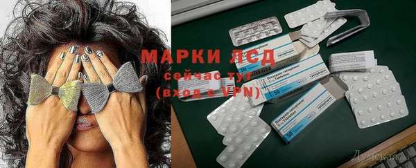 гидропоника Зеленокумск