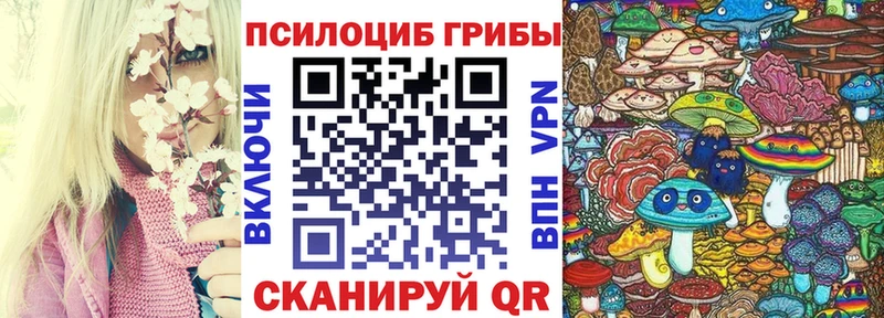 купить наркотик  Кузнецк  Псилоцибиновые грибы Magic Shrooms 