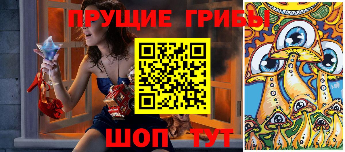 Псилоцибиновые грибы мицелий Кузнецк