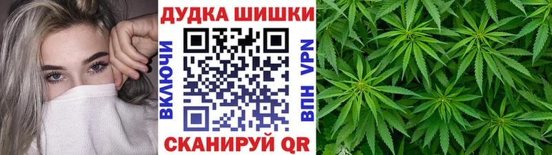 Марихуана сатива  Кузнецк 